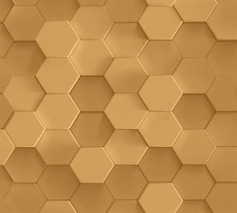 PINTWALLS PARATO VINILICSU TNT GEOM.GOLD 0,53X10,05MT