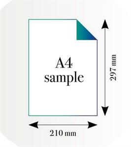 CAMPIONATURA STAMPA FORMATO A4 METALLIC GOLD EDIZIONI MUANCE
