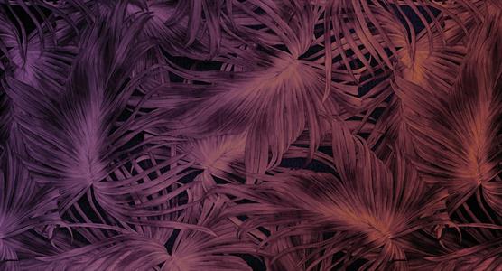 STAMPA DIGITALE MUANCE  ED.1 TNT MATT FOLIAGE PASSION AL MQ