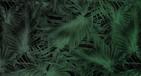 STAMPA DIGITALE MUANCE  ED.1 TNT MATT FOLIAGE PASSION AL MQ