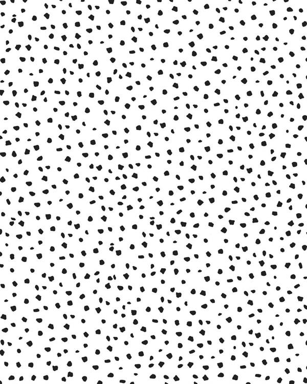 FOTOMURALE  INFINITY 2  GHEPARD MATE WHITE 200X250CM