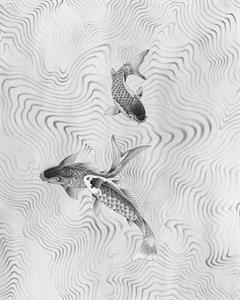 FOTOMURALE  INFINITY 2  POND FISH BLACK 200X250 CM