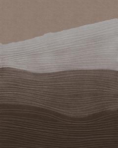 FOTOMURALE  INFINITY 2  MATERIAL BROWN MIS.200X250CM