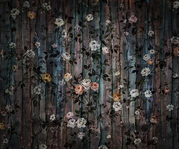 FOTOMURALE  INFINITY 2  ROSES GRAND MIS.300X250CM