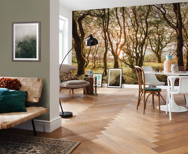 FOTOMURALE  INFINITY 2  TREES BOLD MIS.400X250CM