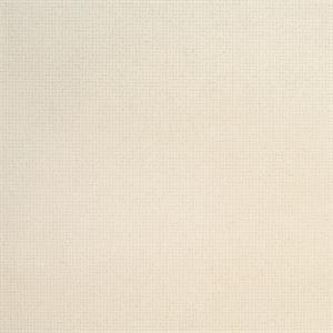 PARATO GREAT KIDS TNT   UNITO BEIGE MIS.0,53X10,05MT