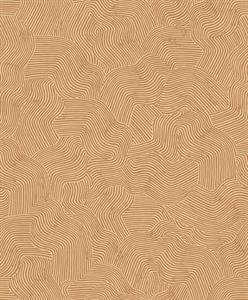 PARATO BRAZIL IN TNT    GEOM.CAMEL. MIS.0,53X10,05MT