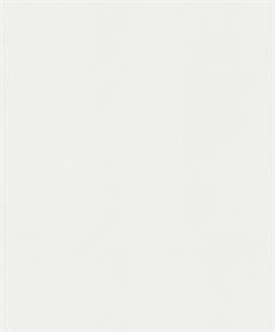 PARATO TERRA DI CASA    PVC/TNT UNITO ICE 0,53X10,05MT