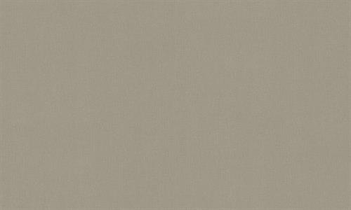 PARATO TERRA DI CASA    PVC/TNT UNITO BROWN 0,53X10,05MT