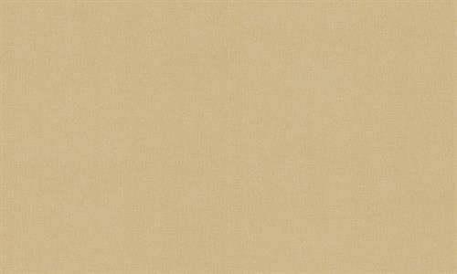 PARATO TERRA DI CASA    PVC/TNT UNITO ORANGE 0,53X10,05MT