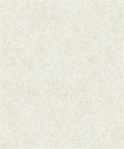 PARATO TERRA DI CASA    PVC/TNT FOLIAGE TAUPE 0,53X10,05MT