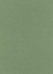 PARATO TERRA PVC/TNT    UNITO GREEN MIS.0,53X10,05MT