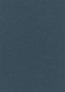 PARATO TERRA PVC/TNT    UNITO NIGHT BLUE MIS.0,53X10,05MT