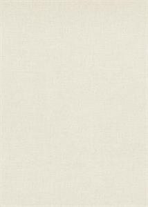 PARATO TERRA PVC/TNT    UNITO BEIGE MIS.0,53X10,05MT