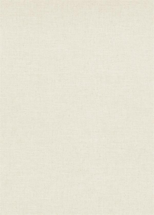 PARATO TERRA PVC/TNT    UNITO BEIGE MIS.0,53X10,05MT