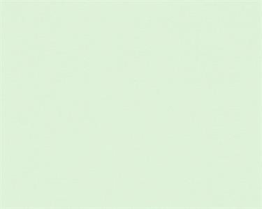 PARATO THEWALL2 VINILICO/TNT UNITO L.GREEN MIS.0,53X10,05MT