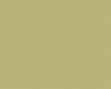 PARATO THEWALL2 VINILICO/TNT UNITO GREEN L. MIS.0,53X10,05MT
