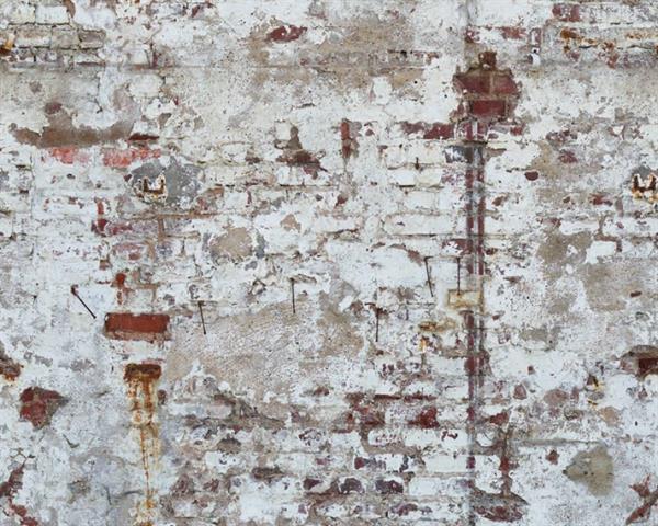 PARATO THEWALL2 VINILICO/TNT WALL WHITE.159XH.280CM( 3 TELI)