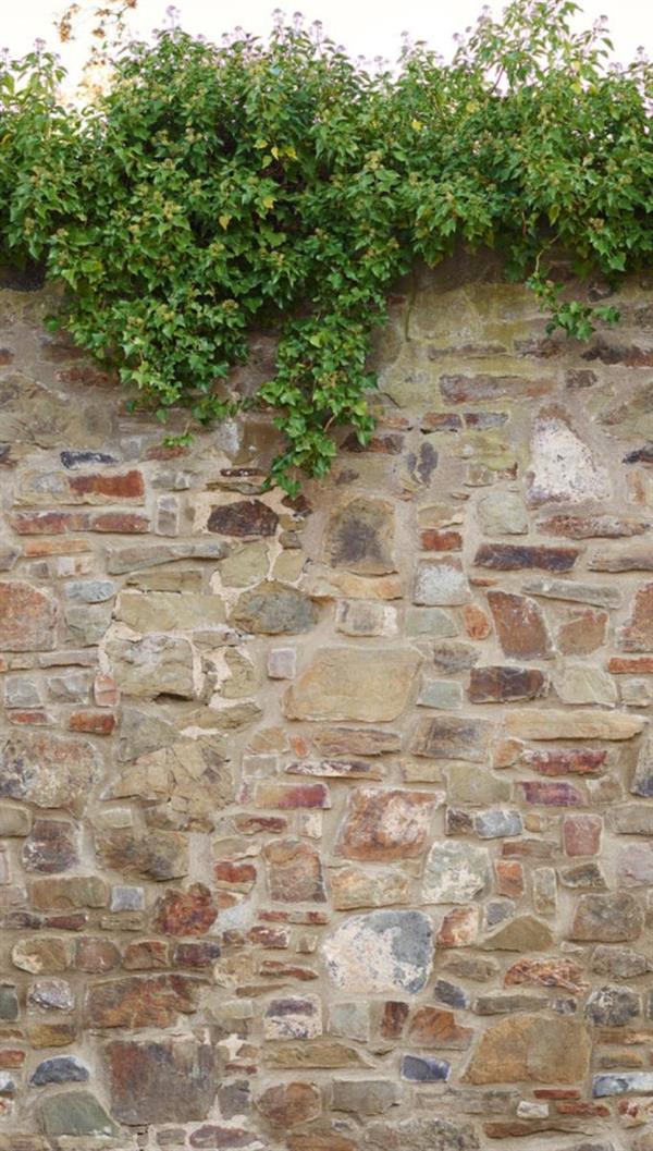 PARATO THEWALL2 VINILICO/TNT WALL JUNGLE  159XH.280CM(3 TELI)