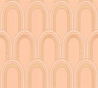 PARATO ARCADE IN TNT    DESIGN ROSE' 0,53X10,05MT