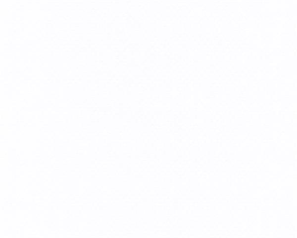 PARATO MEISTERVILES IN  /TNT VERNICIABILE 0,53X10,05MT