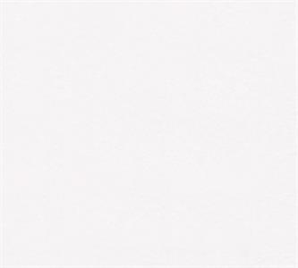 FODERA MEISTERVILES IN  /TNT 130GR  0,53X10,05MT