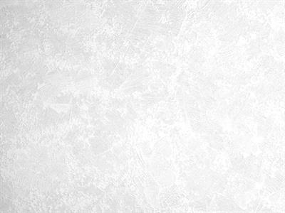 PARATO MEISTERVILES PVC /TNT VERNICIABILE 1,06X25MT