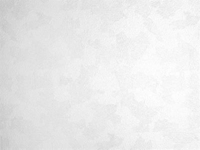 PARATO MEISTERVILES PVC /TNT VERNICIABILE 1,06X25MT