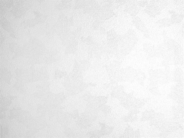 PARATO MEISTERVILES PVC /TNT VERNICIABILE 1,06X25MT