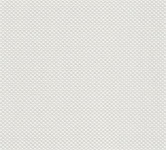 PARATO MEISTERVILES IN  /TNT VERNICIABILE 0,53X10,05MT