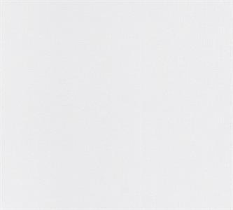 PARATO MEISTERVILES PVC /TNT VERNICIABILE 0,53X10,05MT