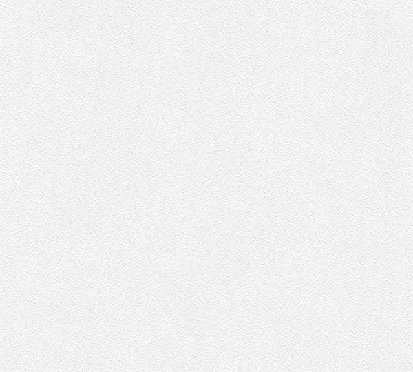 PARATO MEISTERVILES IN  /TNT VERNICIABILE 0,53X10,05MT