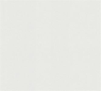 PARATO MEISTERVILES PVC /TNT VERNICIABILE 1,06X25MT