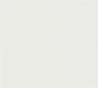 PARATO MEISTERVILES PVC /TNT VERNICIABILE 1,06X25MT