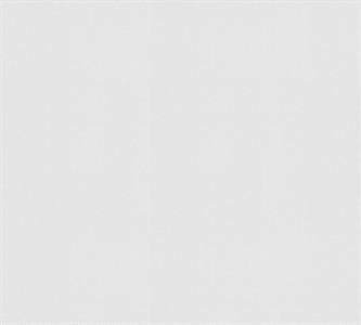 PARATO MEISTERVILES PVC /TNT VERNICIABILE 1,06X25MT