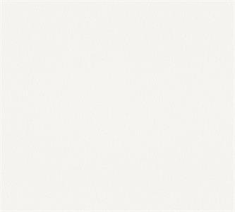 PARATO MEISTERVILES PVC /TNT VERNICIABILE 0,53X10,05MT