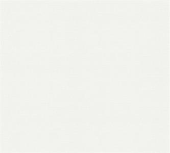 PARATO MEISTERVILES PVC /TNT VERNICIABILE 1,06X25MT