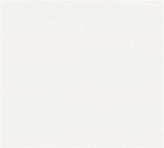 PARATO MEISTERVILES PVC /TNT VERNICIABILE 1,06X25MT