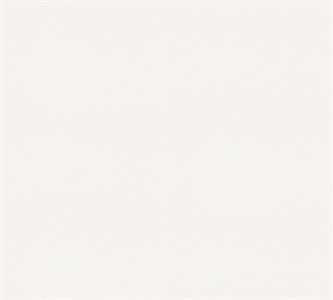 PARATO MEISTERVILES PVC /TNT VERNICIABILE 1,06X25MT