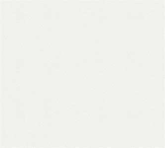 PARATO MEISTERVILES PVC /TNT VERNICIABILE 1,06X25MT