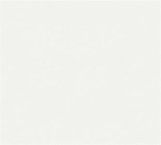 PARATO MEISTERVILES PVC /TNT VERNICIABILE 1,06X25MT
