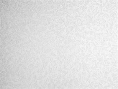PARATO MEISTERVILES PVC /TNT VERNICIABILE 1,06X25MT