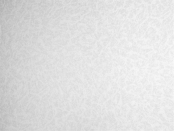 PARATO MEISTERVILES PVC /TNT VERNICIABILE 1,06X25MT