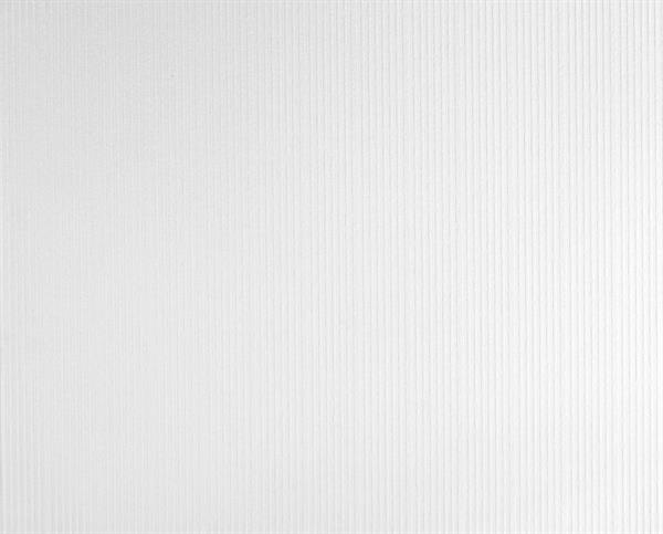 PARATO MEISTERVILES PVC /TNT VERNICIABILE 0,53X10,05MT