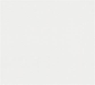 PARATO MEISTERVILES PVC /TNT VERNICIABILE 0,53X10,05MT