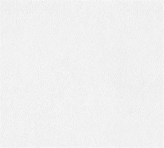 PARATO MEISTERVILES PVC /TNT VERNICIABILE 0,53X10,05MT