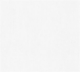 PARATO MEISTERVILES PVC /TNT VERNICIABILE 0,53X10,05MT