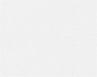 PARATO MEISTERVILES PVC /TNT VERNICIABILE 1,06X25MT