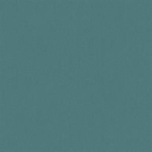 PARATO SEJOURS&C.PVC/   TNT UNITO T.0,53X10,05MT