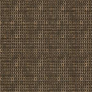 PARATO LES UNIS PVC/TNT DESIGN D.BROWN 0,53X10,05MT